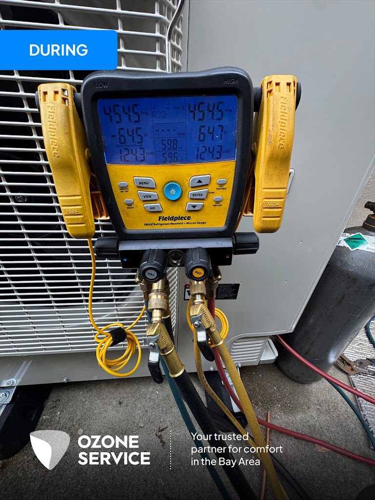 Image for Ozone Service with ID of: 6989417