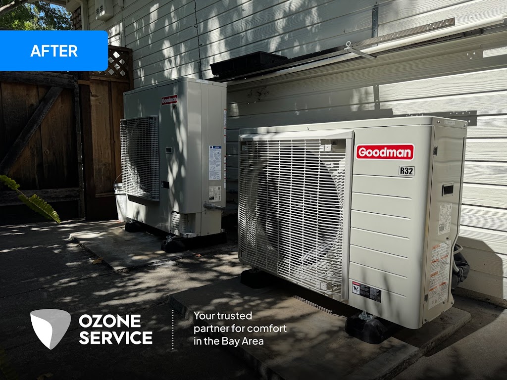 Image for Ozone Service with ID of: 6989418