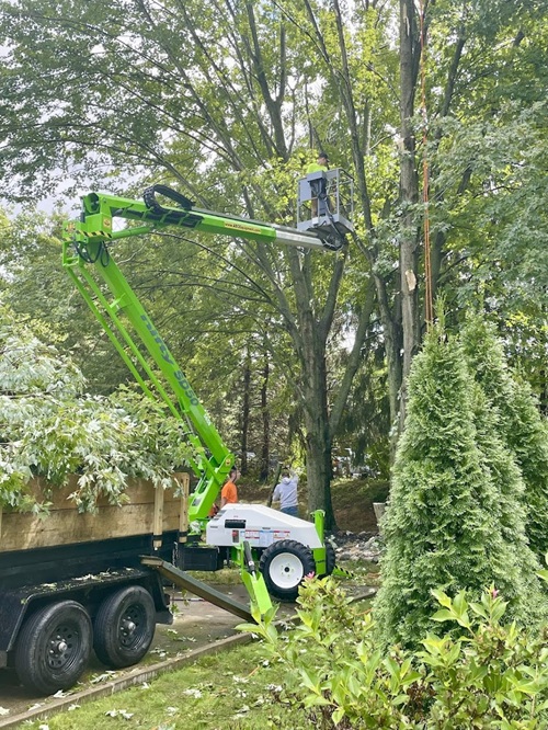 Image for Lavish Landscaping Service with ID of: 6990253