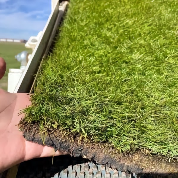 Image for Sod Shop Albuquerque with ID of: 6990547