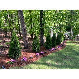 Image for Lawnworx with ID of: 6990665