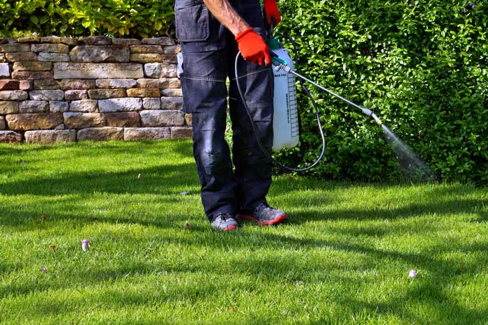 Image for Clanton Pest Control with ID of: 6992751