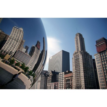 Image for Windy City Web Solutions with ID of: 6993752