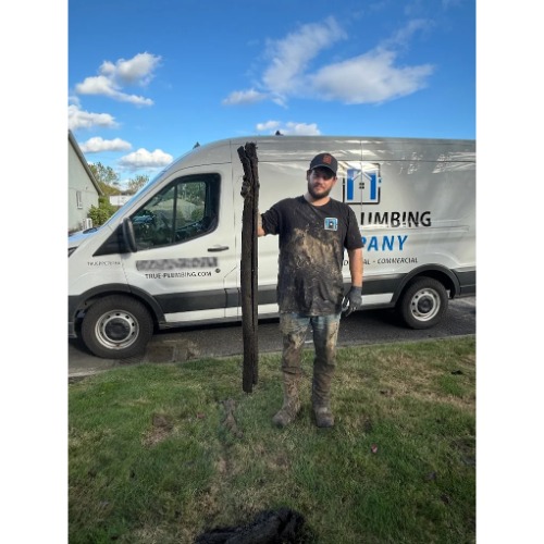 Image for True Plumbing with ID of: 6994193