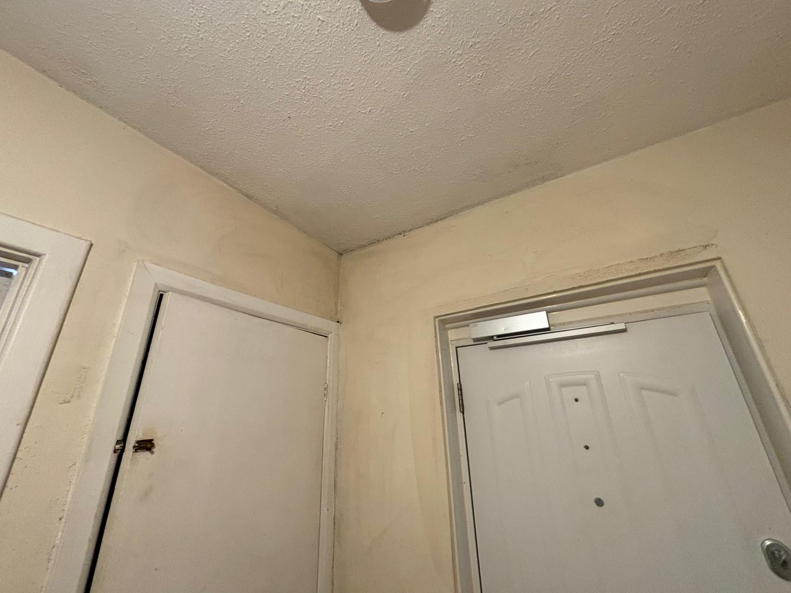 Image for Prestige Damp Proofing Solutions with ID of: 6994567