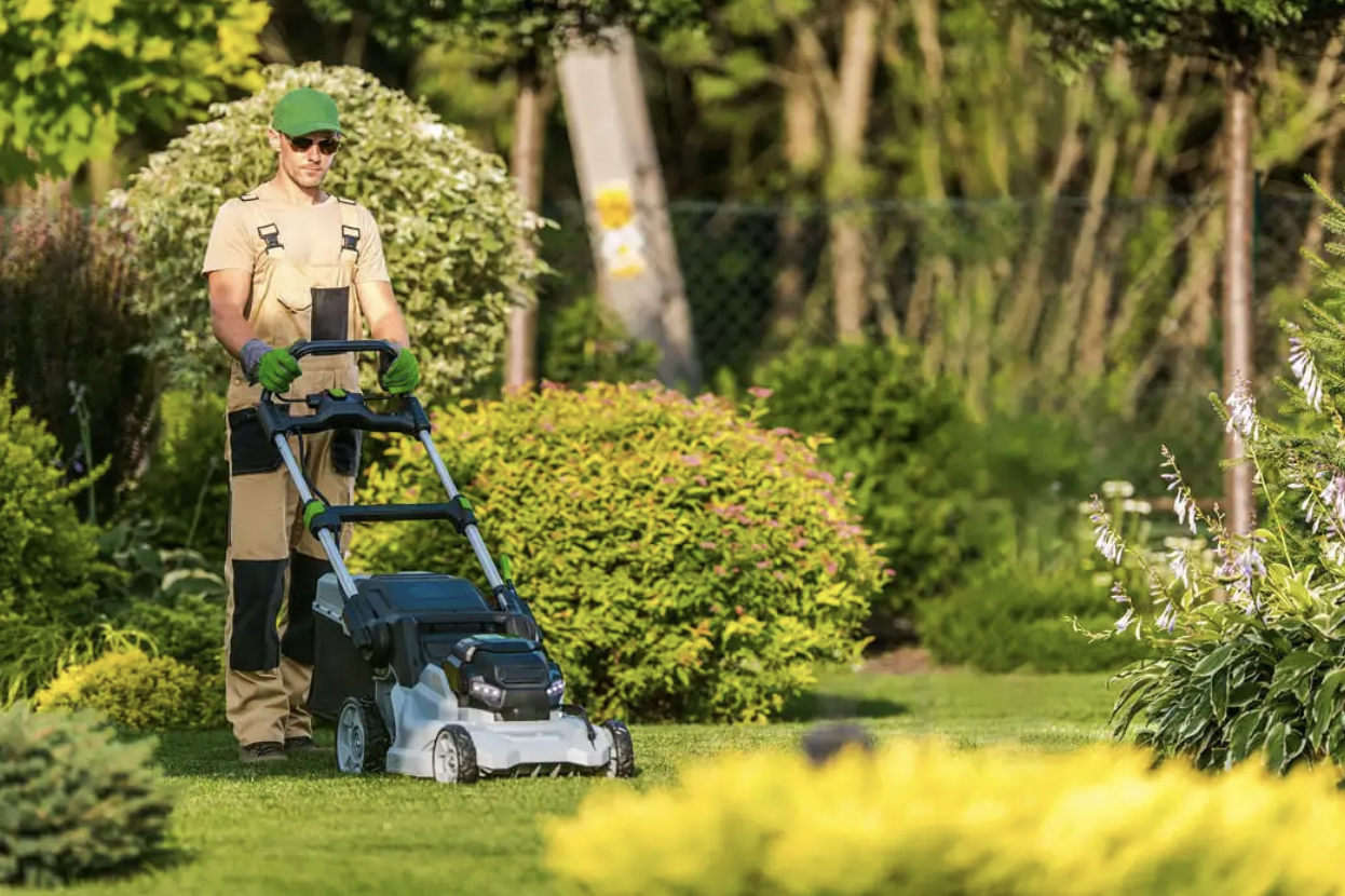 Image for Gardening Direct Australia with ID of: 6994662
