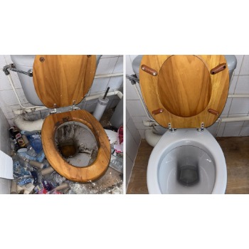 Image for Clean Scene Bio with ID of: 6995025