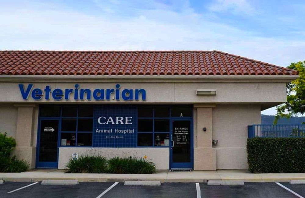 Image for Care Animal Hospital & Urgent Care with ID of: 6995709