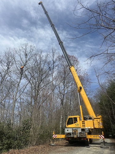 Image for All Pro Tree & Crane, Inc. with ID of: 6998352
