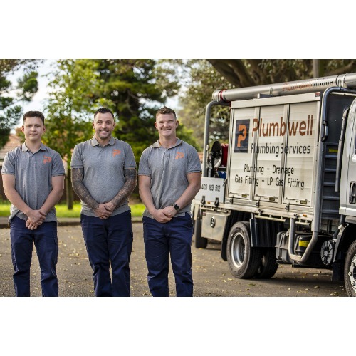 Image for Plumbwell Plumbing Services with ID of: 6999101