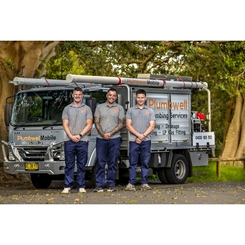 Image for Plumbwell Plumbing Services with ID of: 6999104