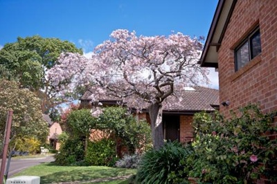 Image for The Cotswolds Village with ID of: 7003711