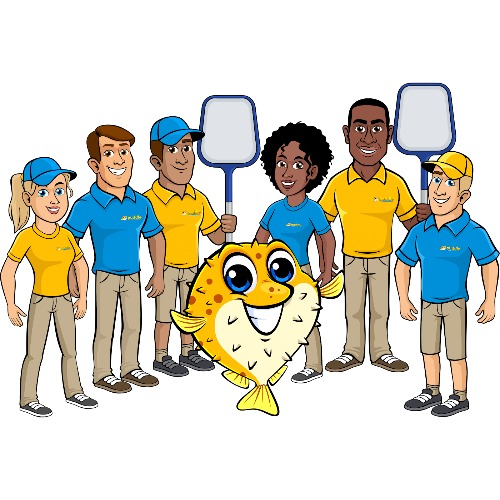 Image for Puddle Pool Services with ID of: 7004183