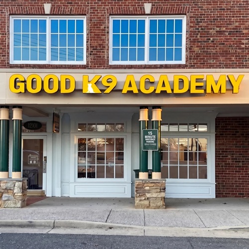 Image for Good K9 Academy with ID of: 7005572
