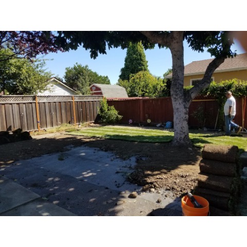 Image for All One Landscape with ID of: 7006033