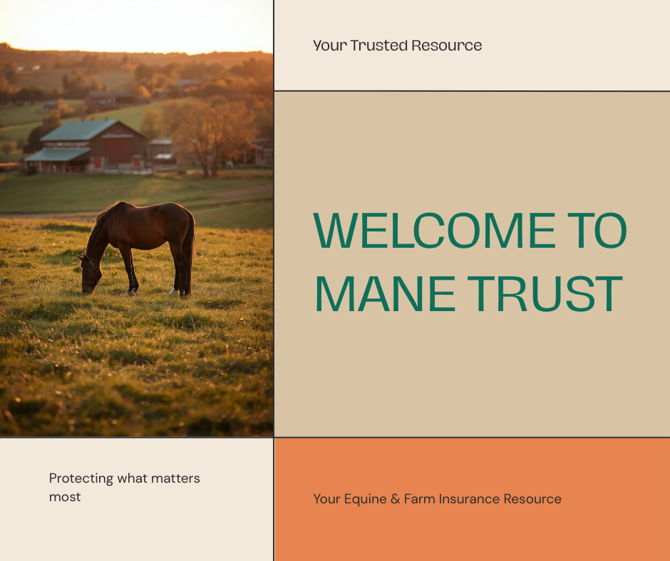 Image for Mane Trust with ID of: 7006123