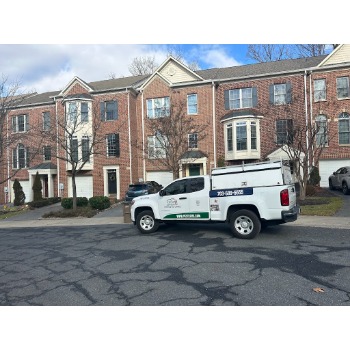 Image for Pestechs Pest Control with ID of: 7006404