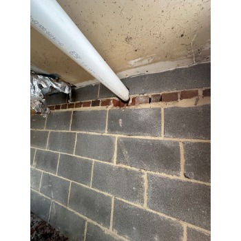 Image for Pestechs Pest Control with ID of: 7006406
