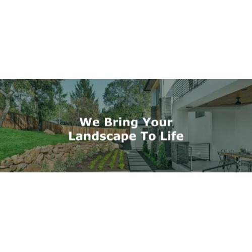 Image for Canepa Landscaping with ID of: 7006477