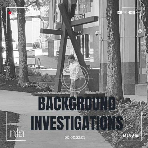 Image for NLA Private Investigator with ID of: 7006578