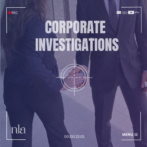 Image for NLA Private Investigator with ID of: 7006579