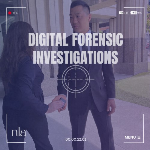Image for NLA Private Investigator with ID of: 7006580