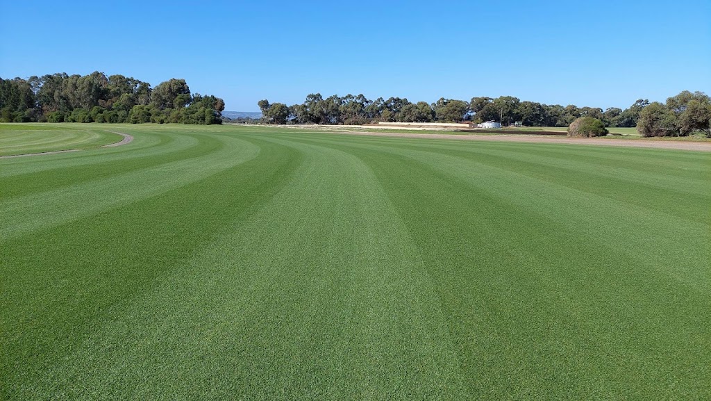 Image for Greenacres Turf Group with ID of: 7006874
