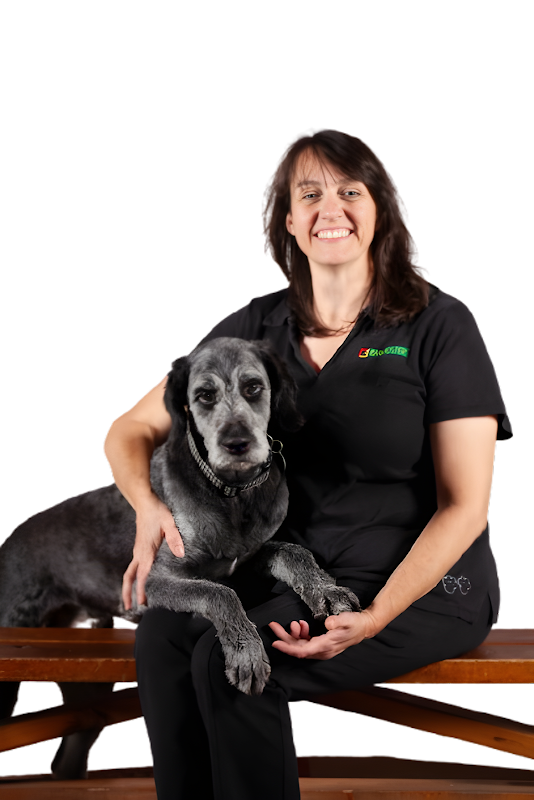 Image for Bark Busters Niagara with ID of: 7007726