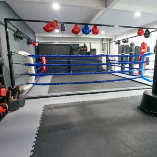 Image for MMA Mats with ID of: 7008066