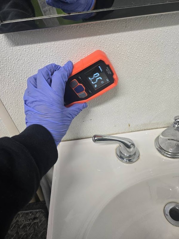 Image for Fast Mold Testing - Brooklyn with ID of: 7008332