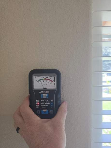 Image for Fast Mold Testing - Brooklyn with ID of: 7008333