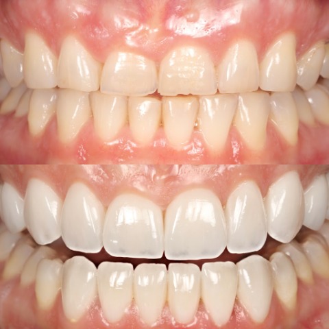 Image for Cotton Tree Dental with ID of: 7008531