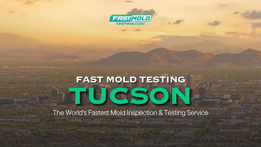 Image for Fast Mold Testing - Tucson with ID of: 7009351