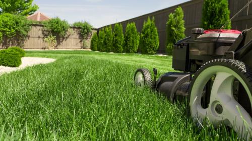 Image for Craig's Lawn Care with ID of: 7011466