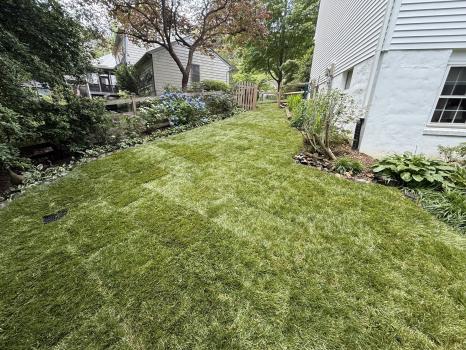 Image for Craig's Lawn Care with ID of: 7011470