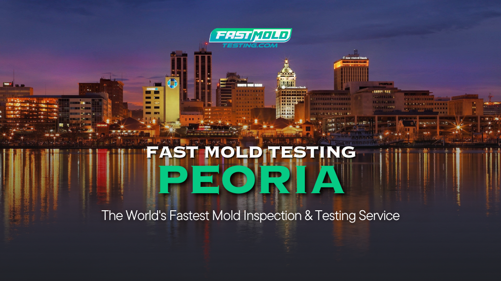 Image for Fast Mold Testing - Peoria with ID of: 7012154