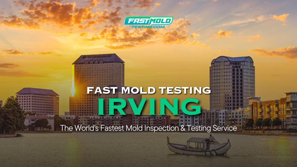 Image for Fast Mold Testing - Irving with ID of: 7012203