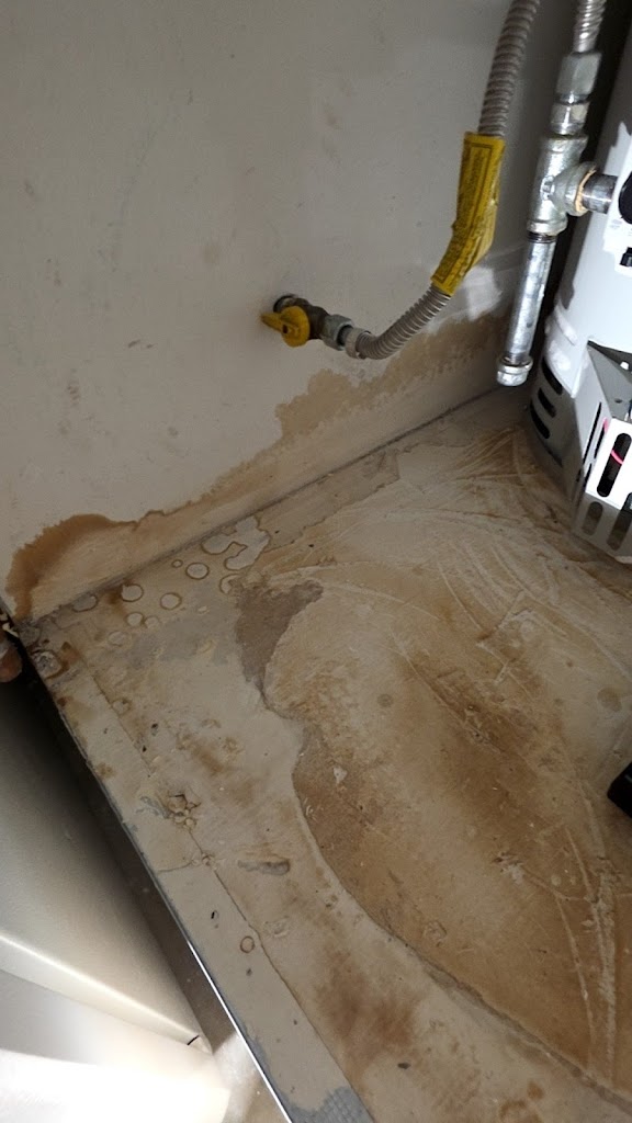 Image for Fast Mold Testing - Irving with ID of: 7012205