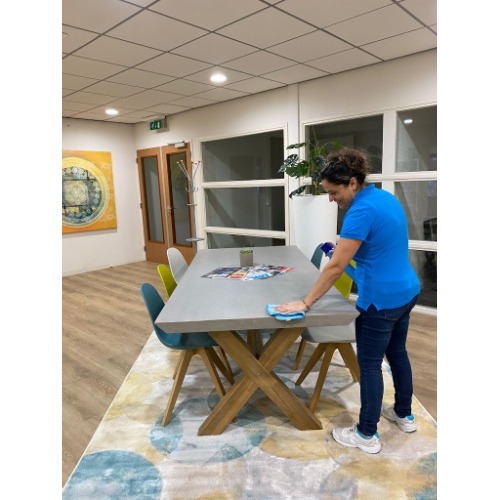 Image for Flits Schoonmaak with ID of: 7013293
