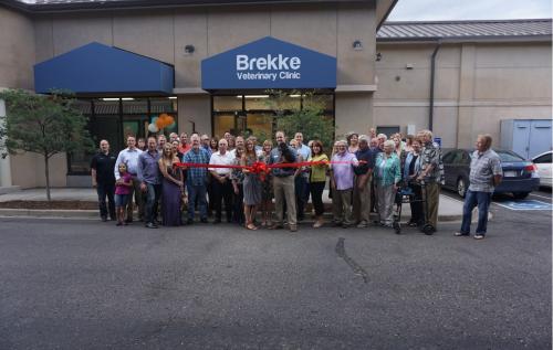 Image for Brekke Veterinary Clinic with ID of: 7015903