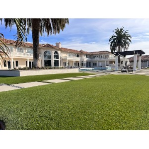 Image for IntegriTurf with ID of: 7016087
