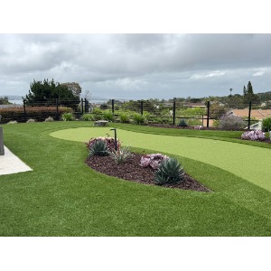 Image for IntegriTurf with ID of: 7016089