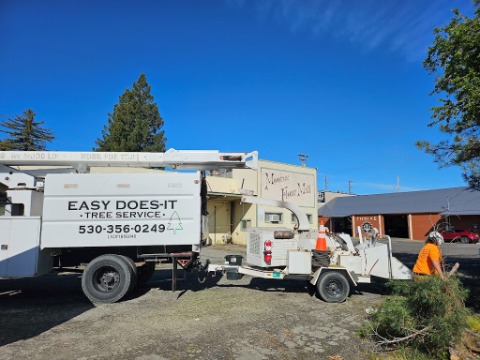 Image for Easy Does It Tree Service with ID of: 7019249