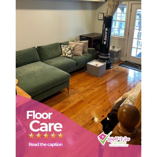 Image for Right View Cleaning with ID of: 7021267