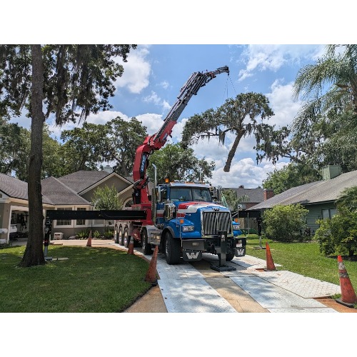 Image for Jax Tree Removal LLC with ID of: 7022019