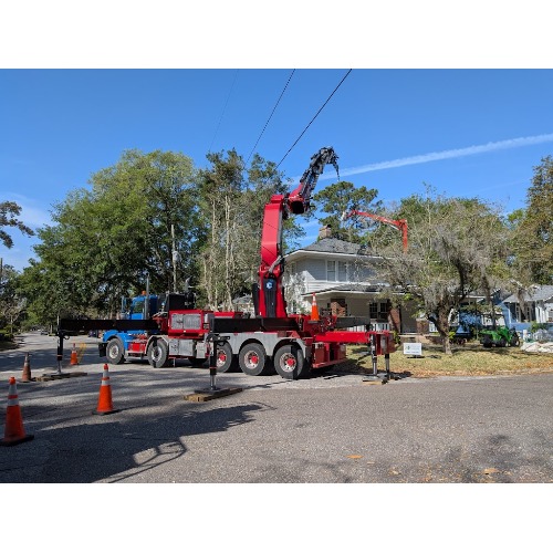 Image for Jax Tree Removal LLC with ID of: 7022020