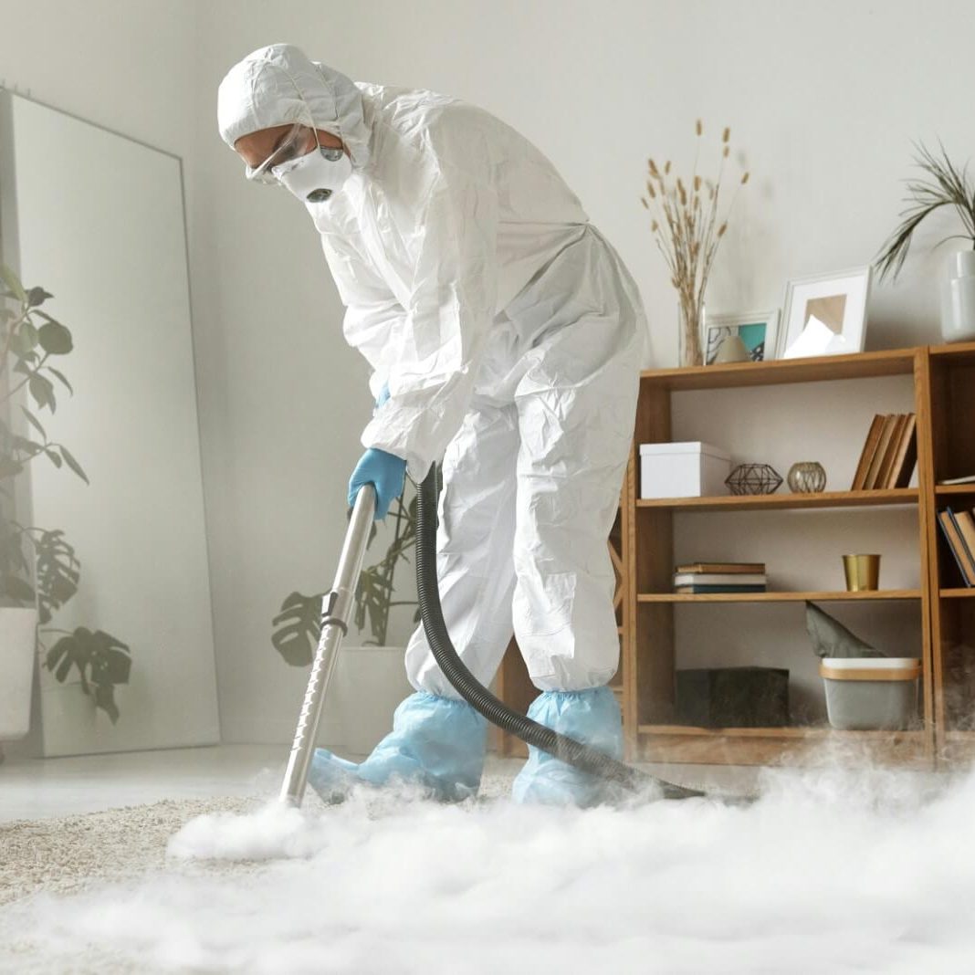 Image for Epic Carpet Care with ID of: 7025099