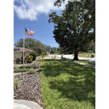 Image for Barefoot Grass with ID of: 7025746