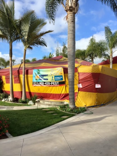 Image for Kennedy Pest Control, Inc. with ID of: 7027856