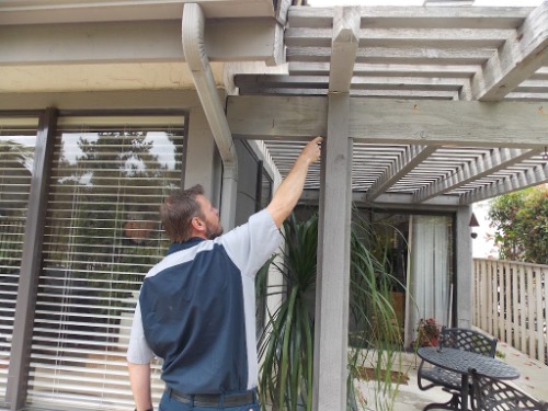 Image for Kennedy Pest Control, Inc. with ID of: 7027857